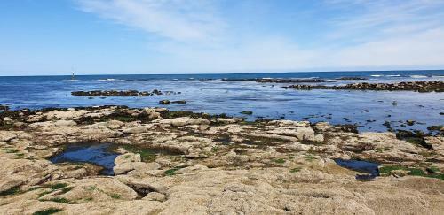 Villa Vue Sur Mer - Barfleur - 15 Personnes