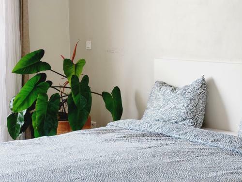 Apartamento Superbe Appartement Dans Cit� Priv�