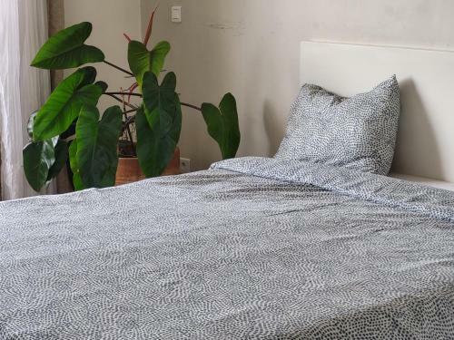 Apartamento Superbe Appartement Dans Cit� Priv�