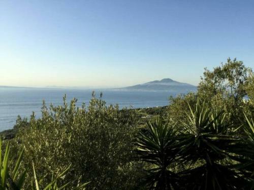 Apartamento Un Paradiso Tra Gli Ulivi
