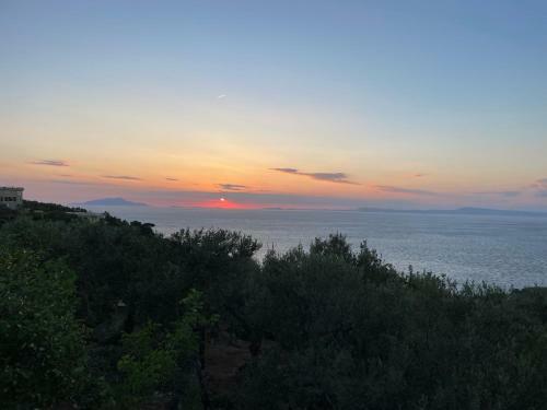 Apartamento Un Paradiso Tra Gli Ulivi
