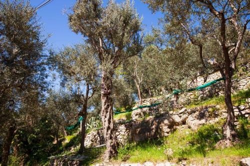 Apartamento Un Paradiso Tra Gli Ulivi