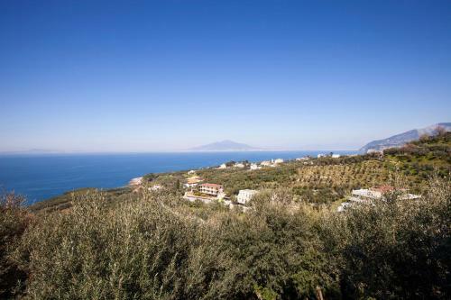 Apartamento Un Paradiso Tra Gli Ulivi