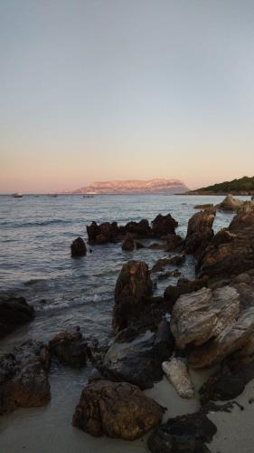 Appartamento - Villaggio Terrata- Golfo Aranci