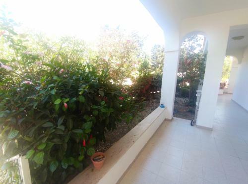 In Villa Con Piscina E Jacuzzi A San Leone