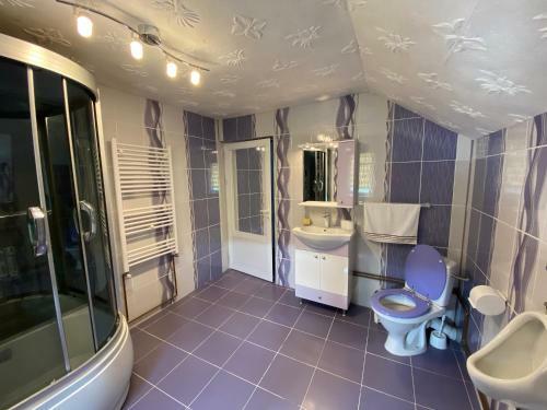 Hostal Micul Popas