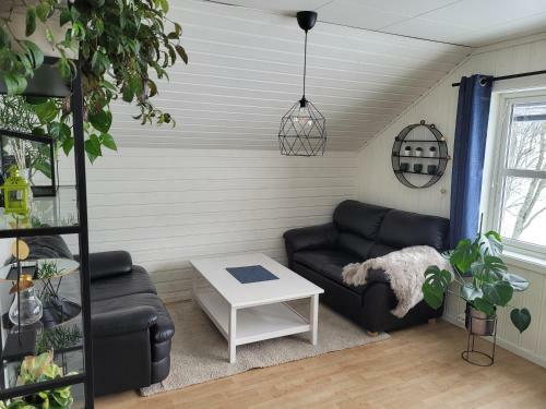 Large, Cozy, Family-friendly Bua Apartment
