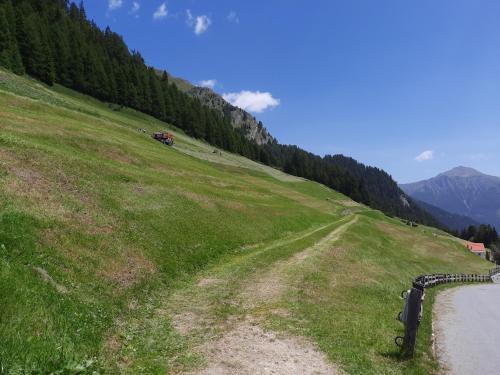 Apartamento Haus Bergblick