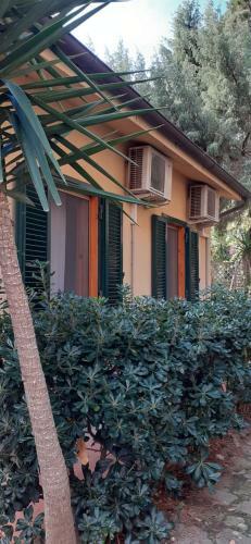 Casa Vacanze In Capraia Isola
