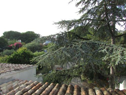 Villetta A Schiera Vicino Al Mare