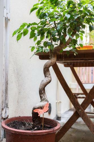 Apartamento Le Chin� - Patio Convivial - Parking - Centre