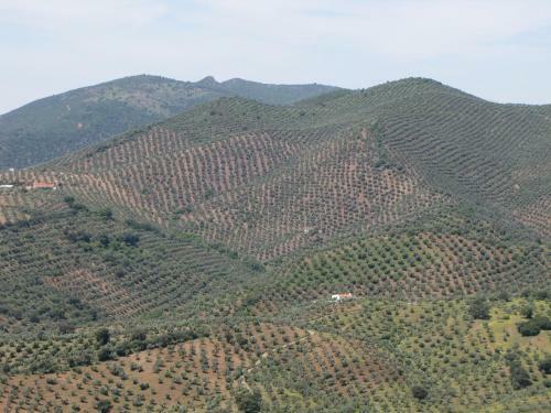 Cortijo "era Grande 2"