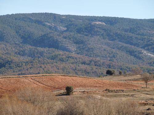 Agroturismo Alojamiento Tur�stico "el Torre�n"
