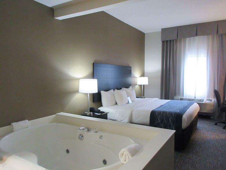 Hotel Quality Inn & Suites Port Huron
