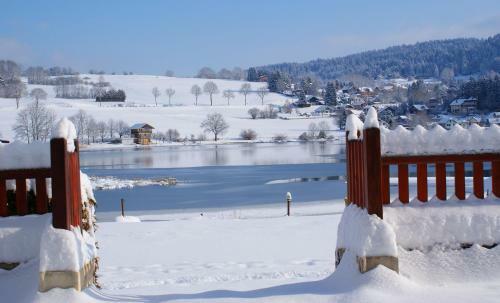 Hotel H�tel Beau Site