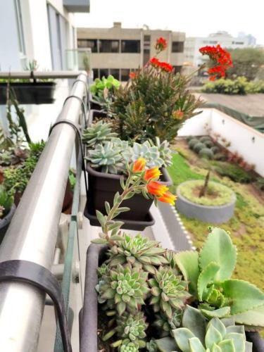 Apartamento Departamento Encantador C�ntrico Con Balcon