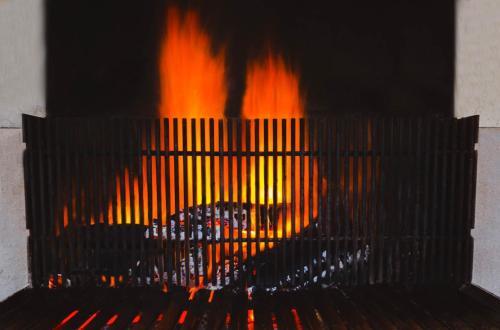 Logis Hotel Lons-le-saunier - Restaurant Le Grill