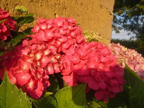 Hostal Bed & Breakfast - Maison De Marie