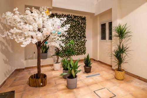 Apartamento Nuevo Cerca De La Playa Y Wifi Gratis
