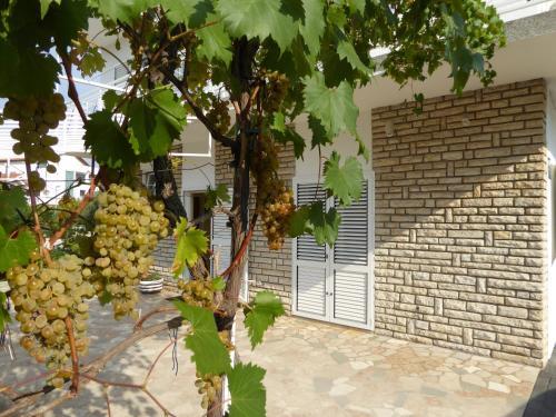 Apartments Bojanic