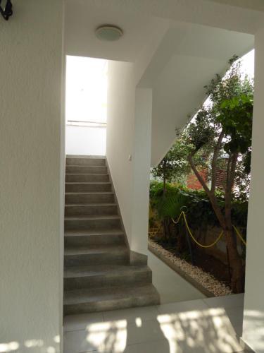 Apartments Bojanic