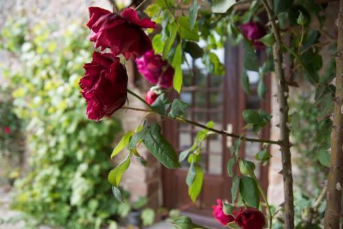 Bed & Breakfast Relais Saint Aubin