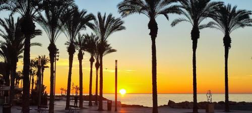 Beachside Apartment In Torrevieja