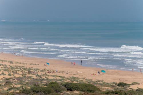 Amazing Apartment 50 M From The Beach!!!