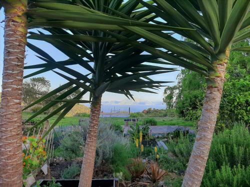 Apartamento El Cuart�n Tarifa "sonre�r Antes De Entrar"