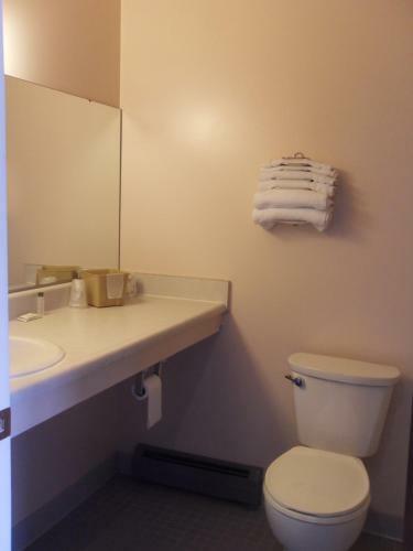 Swan Inn Motel