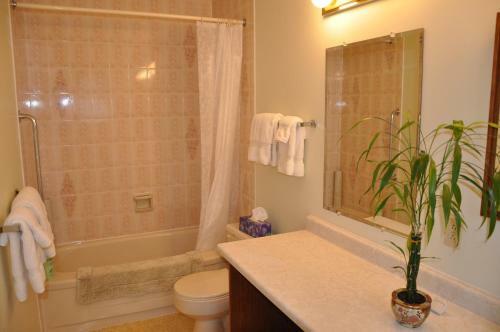 Stafford House Bed & Breakfast