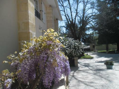 Bed & Breakfast La Chenaie