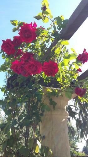 Bed & Breakfast La Chenaie