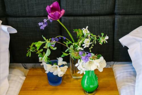 Hostal Elm House