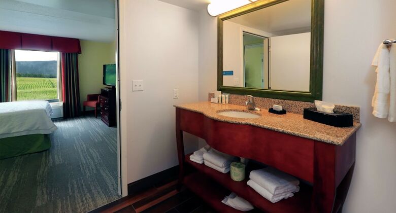 Hotel Hampton Inn And Suites Of Lamar
