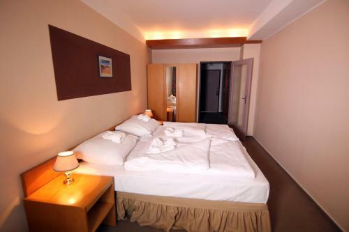 Hotel Medlov
