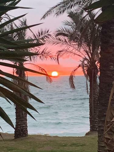 Apartamento Oasis En Playamar Con Piscina