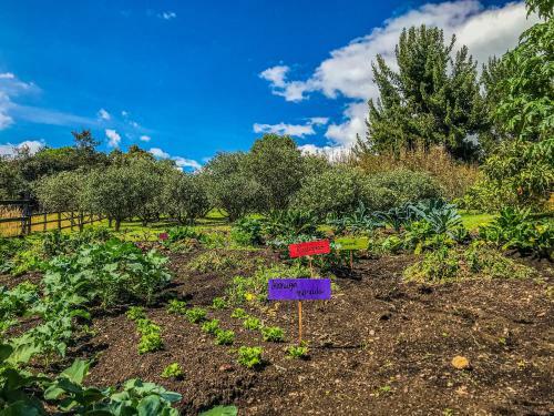Hacienda Sanalejo