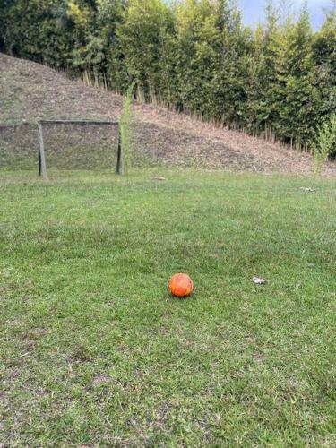 Apartamento Caba�a Celeste - Aeropuerto Rionegro Mde