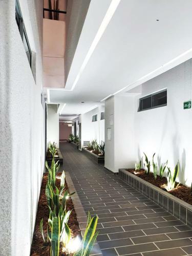 Oasis Apartamentos Tur�sticos, San Jer�nimo