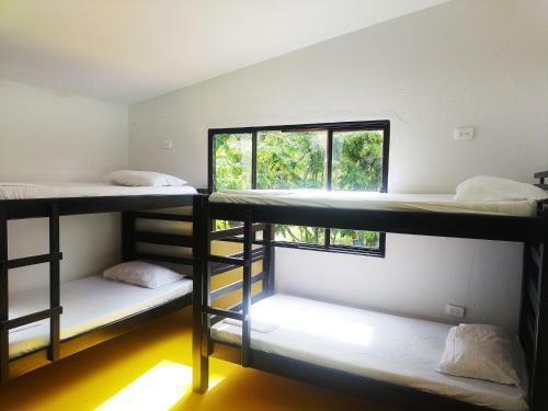 Hostal Amalaya Hostel