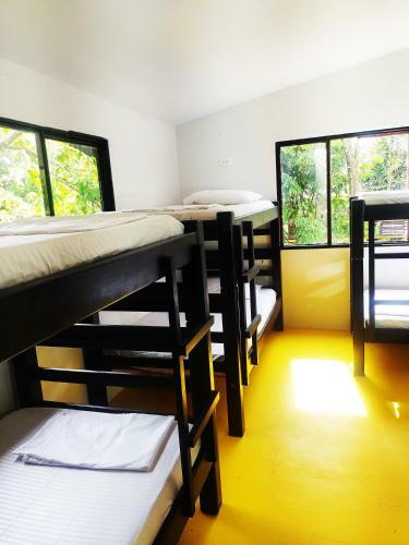 Hostal Amalaya Hostel