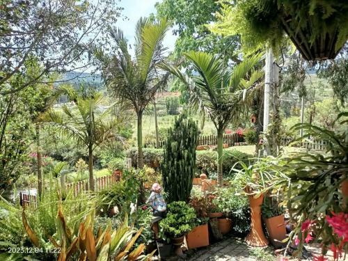 Villa Saturia
