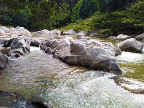 Hostal Flor Tayrona