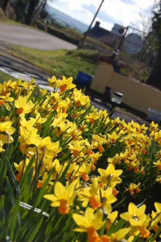 Findus House, Farmhouse Bed & Breakfast