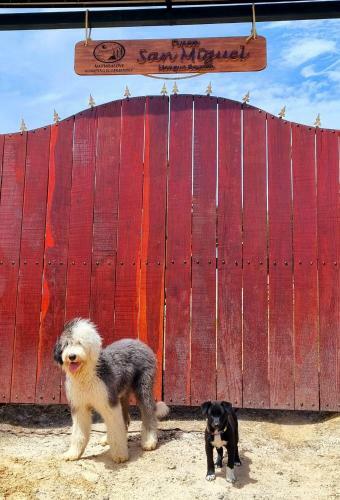 Casa De Huespedes - Naturalove