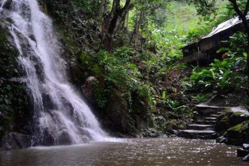 Caba�a Con Piscina En Minca