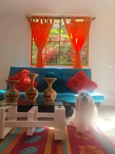 Apartamento Cerca Al Parque De Guatap� Y Malec�n