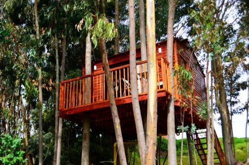 Casa En El �rbol Guatavita