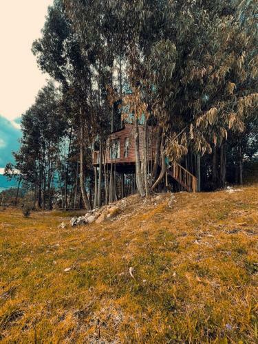Casa En El �rbol Guatavita